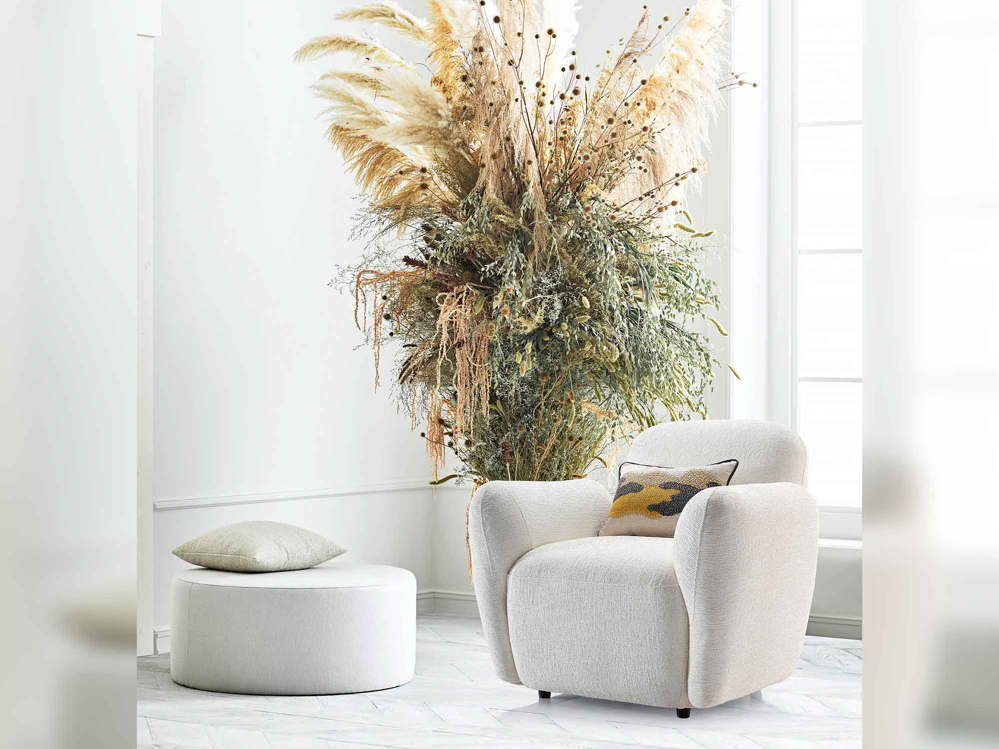 Bolly Chair