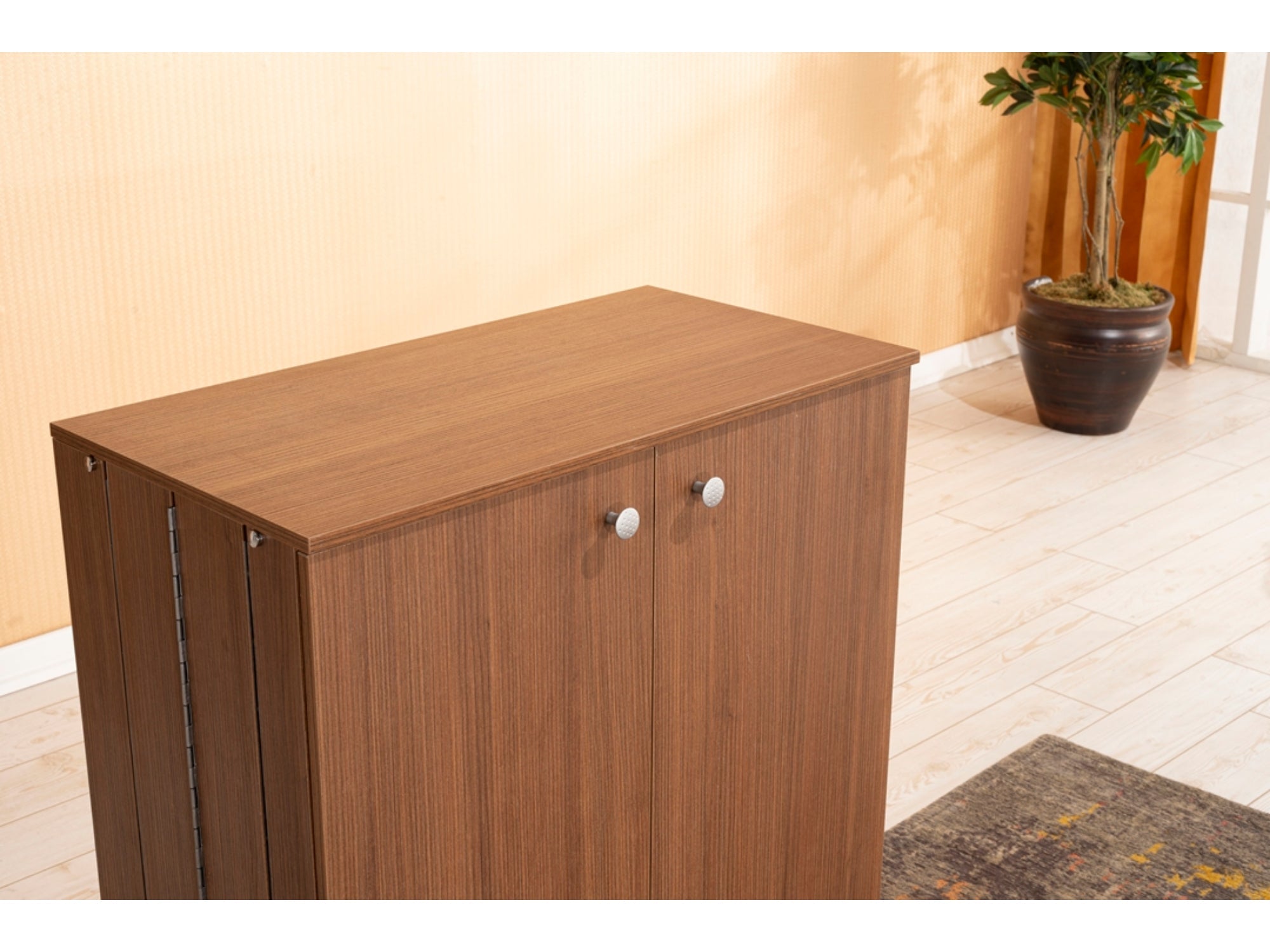 Origami Shoe Cabinet